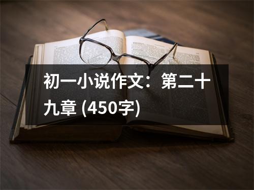 初一小說作文：第二十九章 (450字)