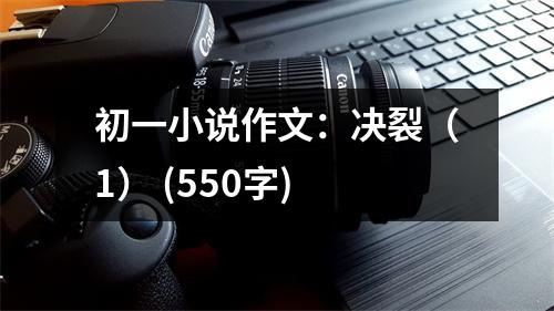 初一小說作文：決裂（1） (550字)