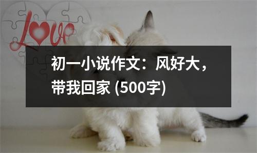 初一小說作文：風(fēng)好大，帶我回家 (500字)