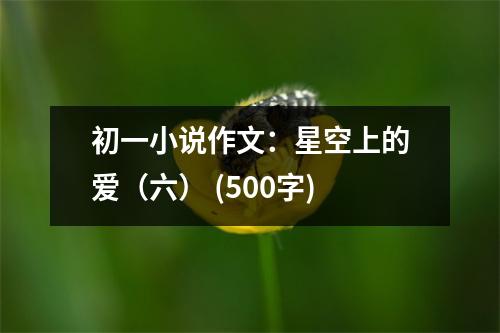 初一小說作文：星空上的愛（六） (500字)
