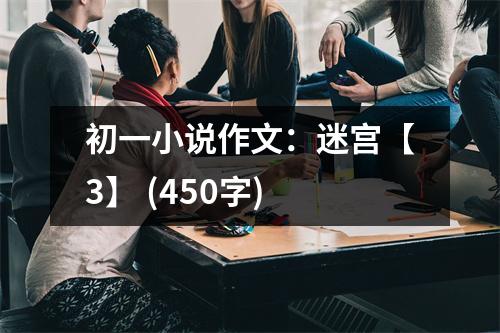 初一小說作文：迷宮【3】 (450字)