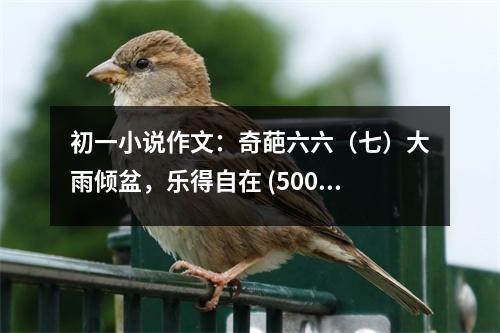 初一小說作文：奇葩六六（七）大雨傾盆，樂得自在 (500字)