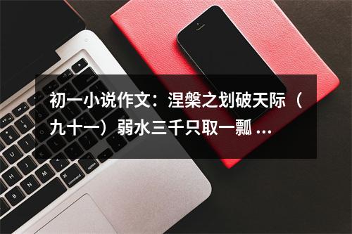 初一小說作文：涅槃之劃破天際（九十一）弱水三千只取一瓢 (500字)
