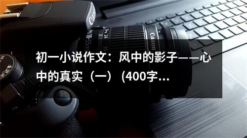 初一小說作文：風(fēng)中的影子——心中的真實（一） (400字)