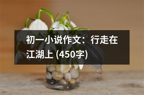 初一小說作文：行走在江湖上 (450字)