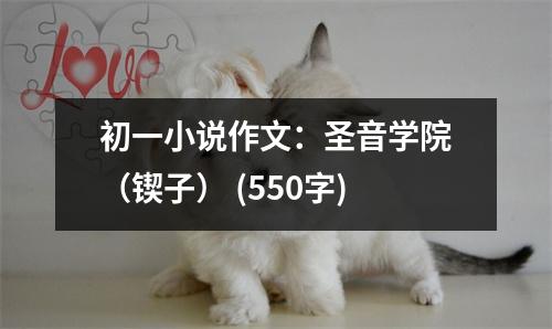 初一小說作文：圣音學(xué)院（鍥子） (550字)