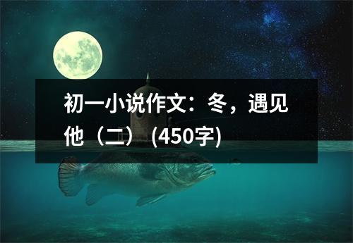 初一小說作文：冬，遇見他（二） (450字)