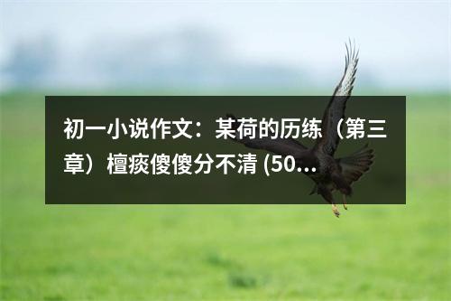 初一小說作文：某荷的歷練（第三章）檀痰傻傻分不清 (500字)