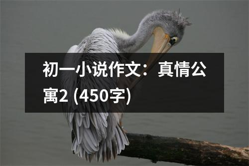 初一小說作文：真情公寓2 (450字)