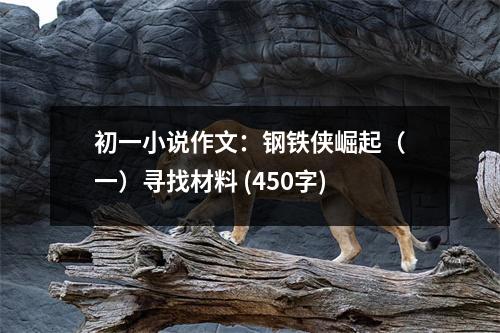 初一小說作文：鋼鐵俠崛起（一）尋找材料 (450字)