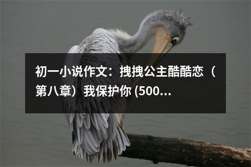 初一小說(shuō)作文：拽拽公主酷酷戀（第八章）我保護(hù)你 (500字)