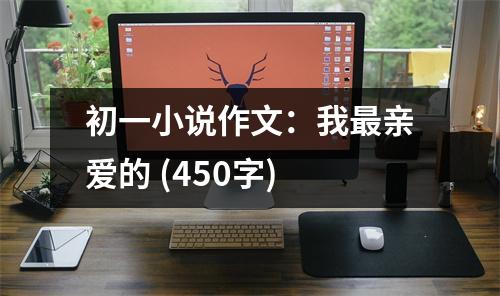 初一小說(shuō)作文：我最親愛(ài)的 (450字)