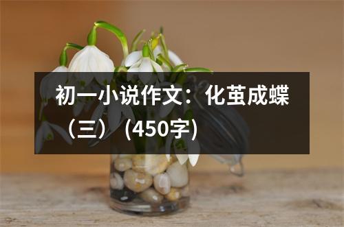 初一小說(shuō)作文：化繭成蝶（三） (450字)
