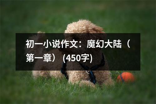 初一小說(shuō)作文：魔幻大陸（第一章） (450字)
