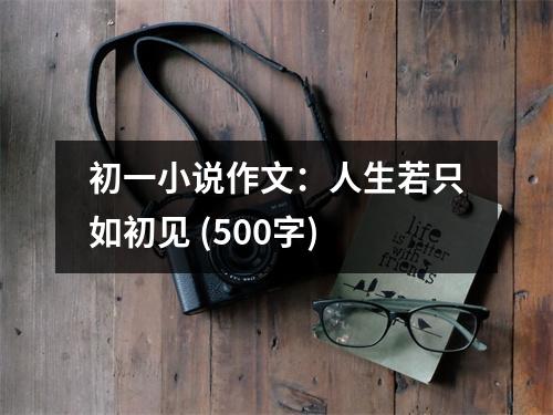 初一小說作文：人生若只如初見 (500字)