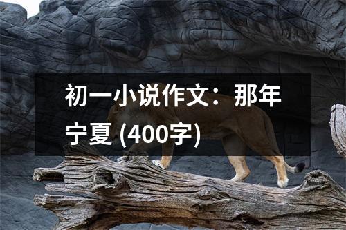 初一小說作文：那年寧夏 (400字)