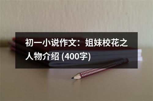 初一小說(shuō)作文：姐妹?；ㄖ宋锝榻B (400字)