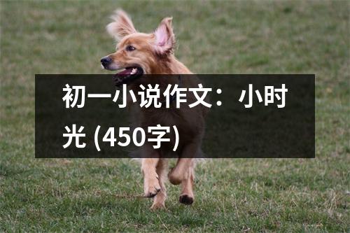 初一小說(shuō)作文：小時(shí)光 (450字)