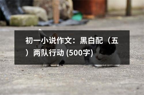初一小說(shuō)作文：黑白配（五）兩隊(duì)行動(dòng) (500字)