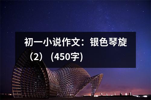 初一小說(shuō)作文：銀色琴旋（2） (450字)
