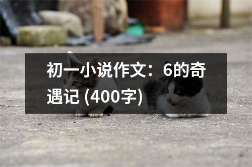 初一小說(shuō)作文：6的奇遇記 (400字)