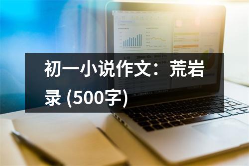 初一小說(shuō)作文：荒巖錄 (500字)