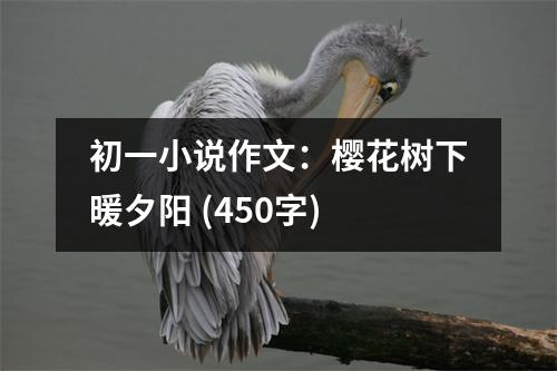 初一小說作文：櫻花樹下暖夕陽 (450字)