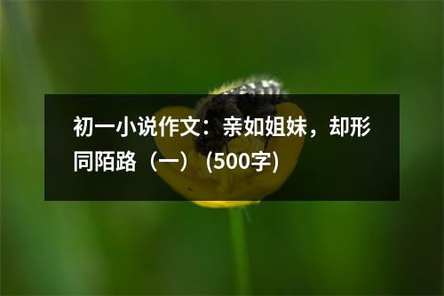 初一小說作文：親如姐妹，卻形同陌路（一） (500字)