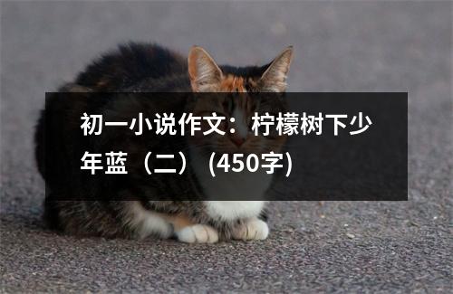 初一小說作文：檸檬樹下少年藍(lán)（二） (450字)