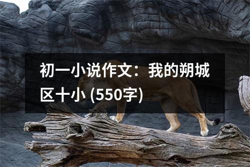 初一小說作文：我的朔城區(qū)十小 (550字)