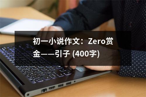 初一小說作文：Zero賞金——引子 (400字)