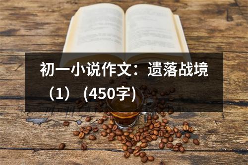 初一小說作文：遺落戰(zhàn)境（1） (450字)
