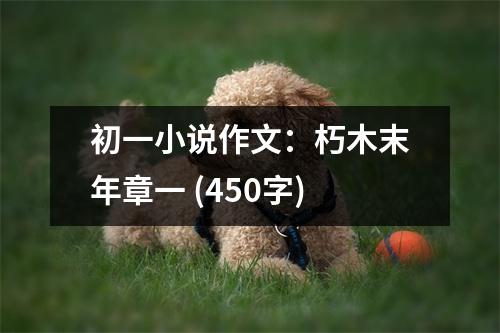 初一小說(shuō)作文：朽木末年章一 (450字)