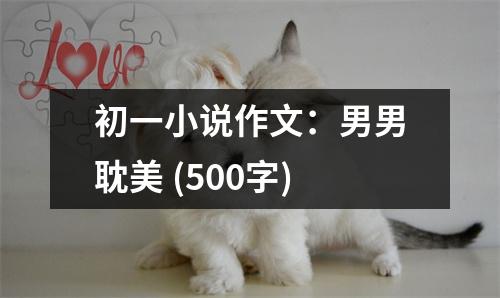 初一小說(shuō)作文：男男耽美 (500字)