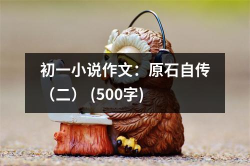 初一小說(shuō)作文：原石自傳（二） (500字)