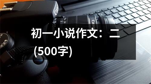 初一小說(shuō)作文：二 (500字)