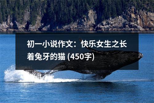初一小說(shuō)作文：快樂(lè)女生之長(zhǎng)著兔牙的貓 (450字)