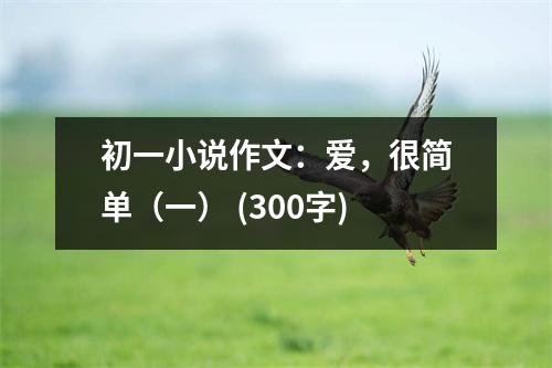 初一小說(shuō)作文：愛(ài)，很簡(jiǎn)單（一） (300字)