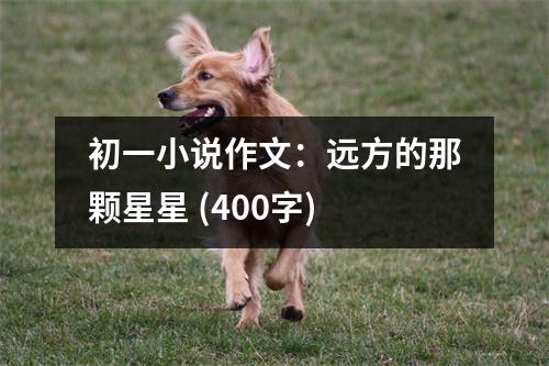初一小說(shuō)作文：遠(yuǎn)方的那顆星星 (400字)
