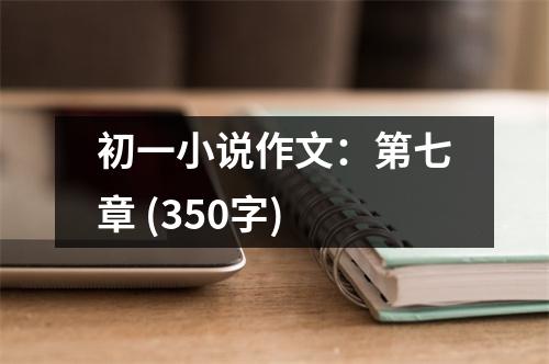 初一小說作文：第七章 (350字)