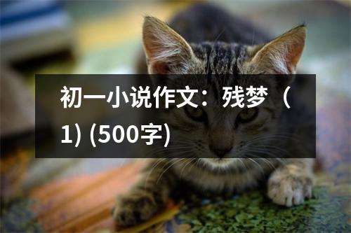初一小說作文：殘夢（1) (500字)
