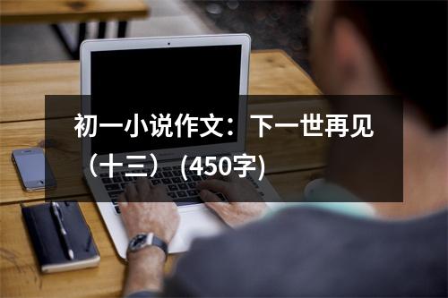 初一小說作文：下一世再見（十三） (450字)