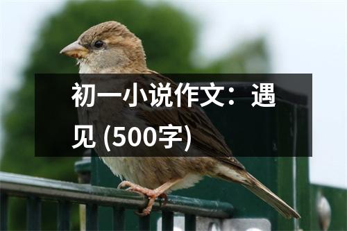 初一小說作文：遇見 (500字)