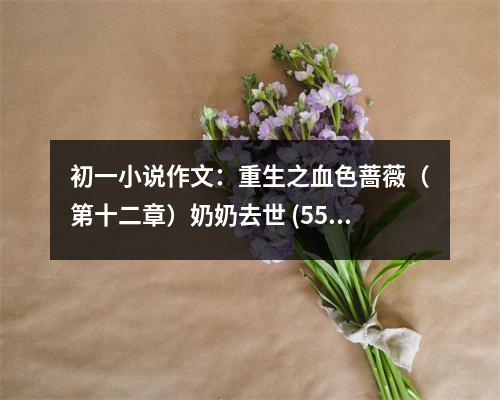 初一小說作文：重生之血色薔薇（第十二章）奶奶去世 (550字)