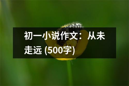 初一小說作文：從未走遠(yuǎn) (500字)