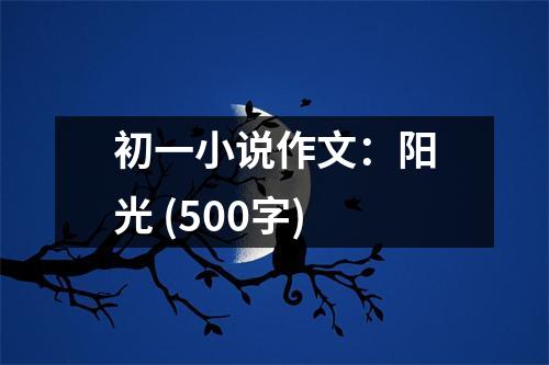 初一小說作文：陽(yáng)光 (500字)