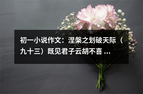 初一小說作文：涅槃之劃破天際（九十三）既見君子云胡不喜 (500字)