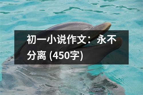 初一小說作文：永不分離 (450字)