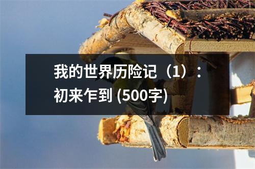 我的世界歷險(xiǎn)記（1）：初來乍到 (500字)