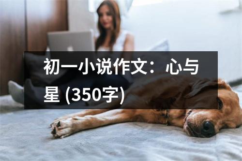 初一小說作文：心與星 (350字)